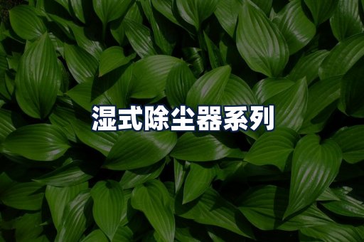 湿式除尘器